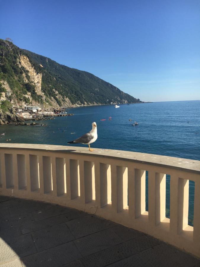 Casetta Del Marinaio كامولّي المظهر الخارجي الصورة
