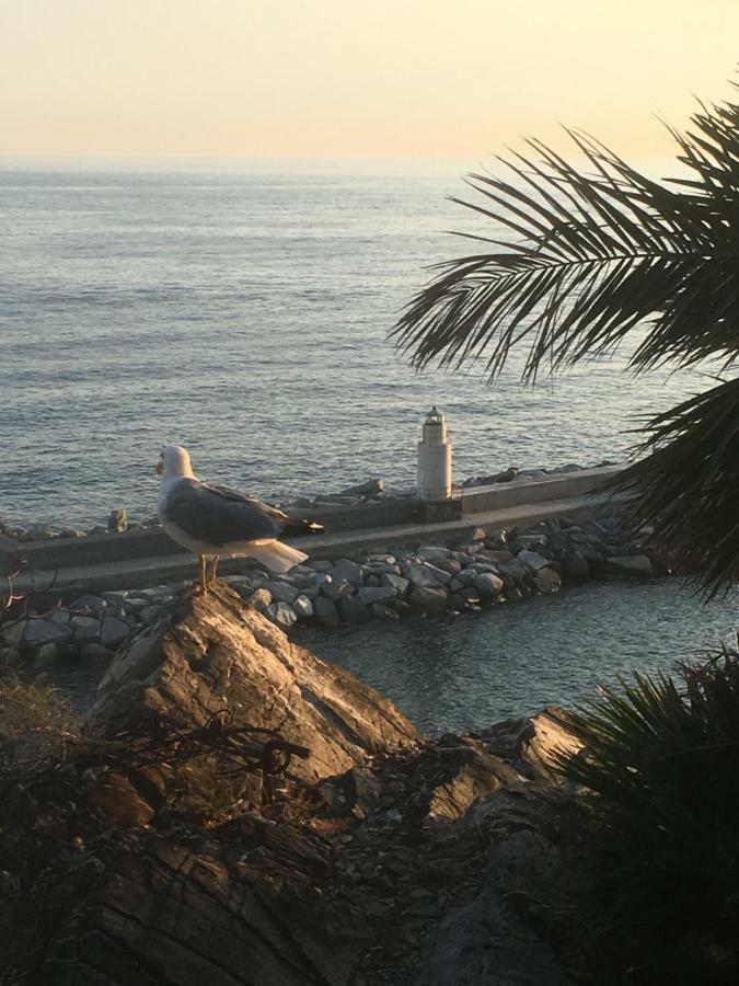 Casetta Del Marinaio كامولّي المظهر الخارجي الصورة